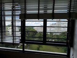 Pandan Valley (D21), Condominium #511003851